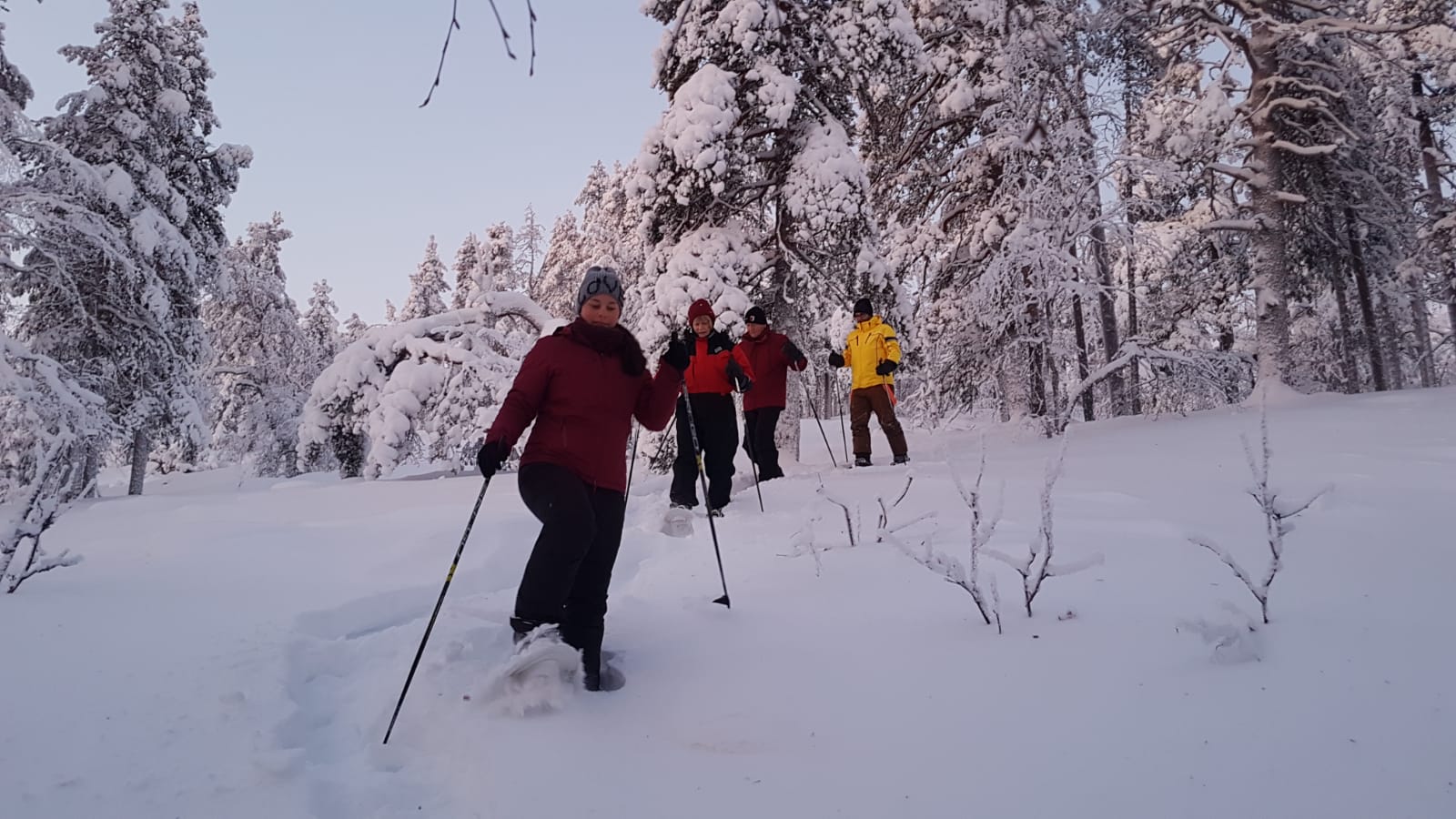 Snowshoeing in national park